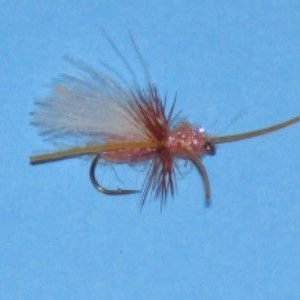 Delektable Flying Ant